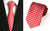 Status Tie Collection